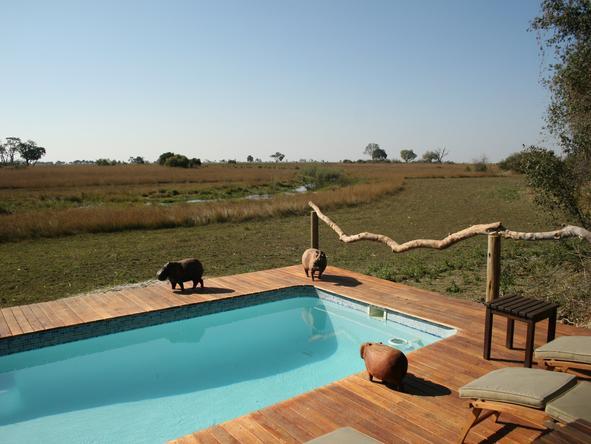 Kwando Lebala Camp- pool deck 